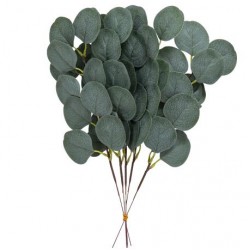 ΚΛΑΔΙΑ ΕΥΚΑΛΥΠΤΟΥ 5 ΤΜΧ 35 CM