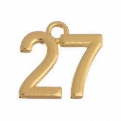 ΜΕΤΑΛΛΙΚΗ ΗΜΕΡΟΜΗΝΙΑ 2027 50τμχ