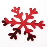 ΧΙΟΝΟΝΙΦΑΔΑ ΠΛΕΞΙΓΚΛΑΣ