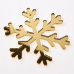 ΧΙΟΝΟΝΙΦΑΔΑ ΠΛΕΞΙΓΚΛΑΣ