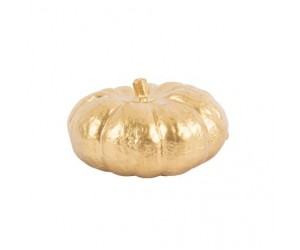 ΚΟΛΟΚΥΘΑ PVC ΧΡΥΣΗ 4 x 7 ,5 cm