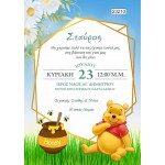 Οικονομικό προσκλητήριο Winnie the pooh