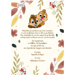 Οικονομικό προσκλητήριο Chip 'n Dale