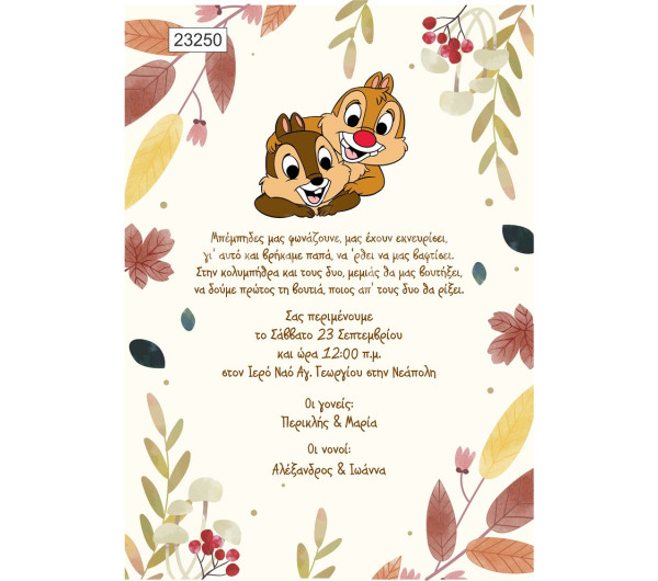 Οικονομικό προσκλητήριο Chip 'n Dale