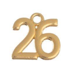 ΜΕΤΑΛΛΙΚΗ ΗΜΕΡΟΜΗΝΙΑ 2026 50τμχ