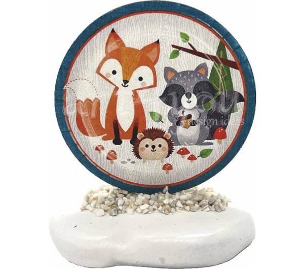 ΒΡΑΧΑΚΙ ΖΩΑ ΤΟΥ ΔΑΣΟΥΣ