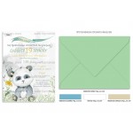 Προσκλητήριο βάπτισης panda.