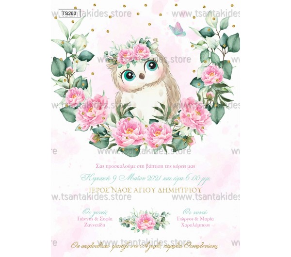 Προσκλητήριο βάπτισης μικρή κουκουβάγια