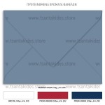 Χριστουγεννιάτικο προσκλητήριο βάπτισης Penguin Cute Winter