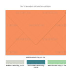 Προσκλητήριο βάπτισης Baby dinosaurs